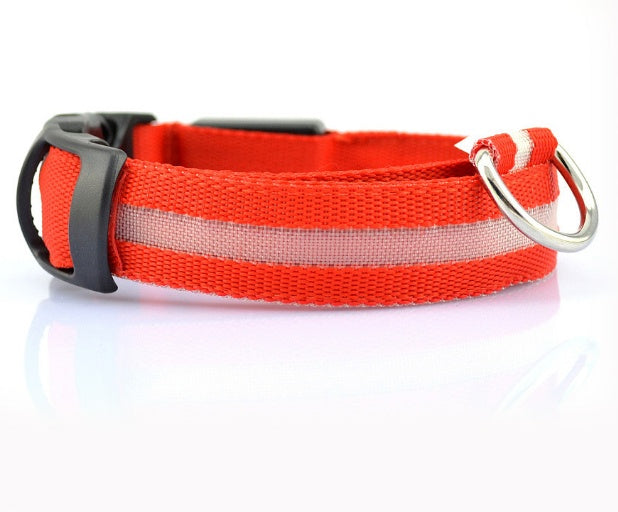 LED Safety Collar That Keeps Your Pup Visible