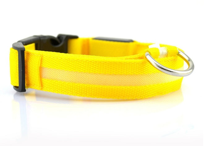 LED Safety Collar That Keeps Your Pup Visible