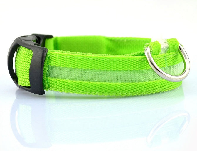 LED Safety Collar That Keeps Your Pup Visible