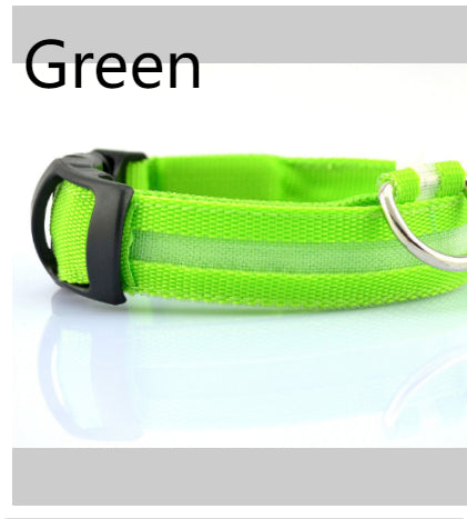 LED Safety Collar That Keeps Your Pup Visible