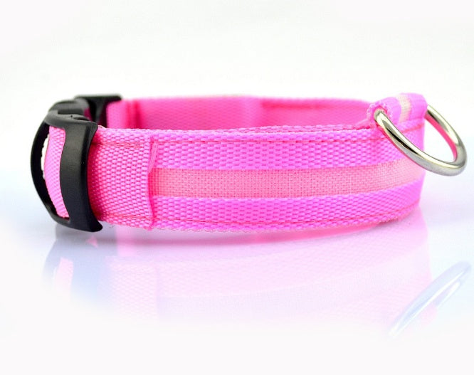 LED Safety Collar That Keeps Your Pup Visible