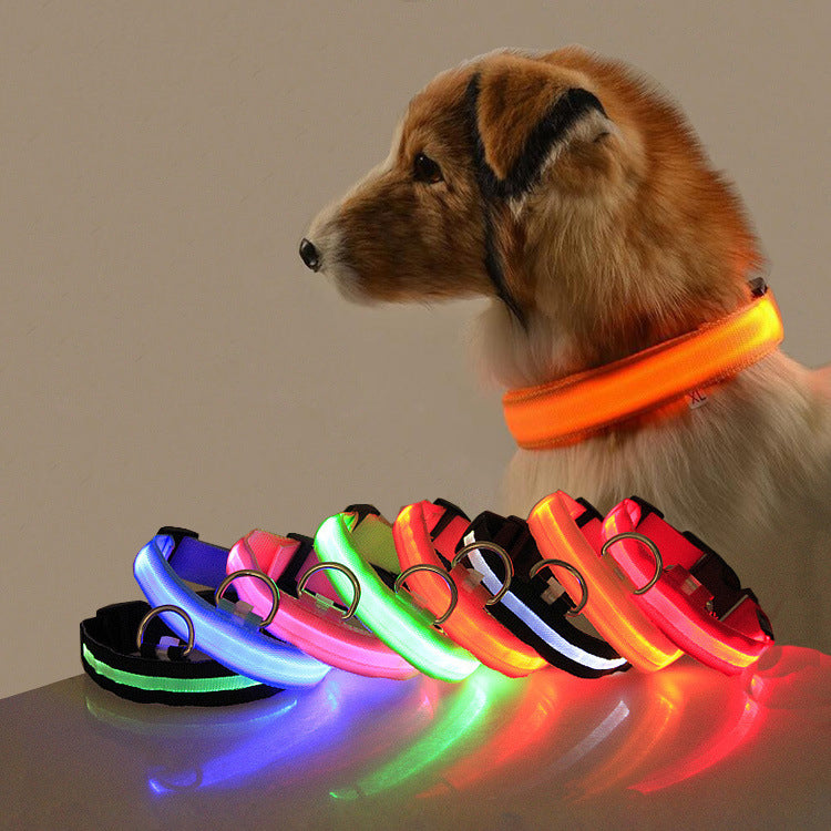 LED Safety Collar That Keeps Your Pup Visible