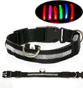 LED Safety Collar That Keeps Your Pup Visible