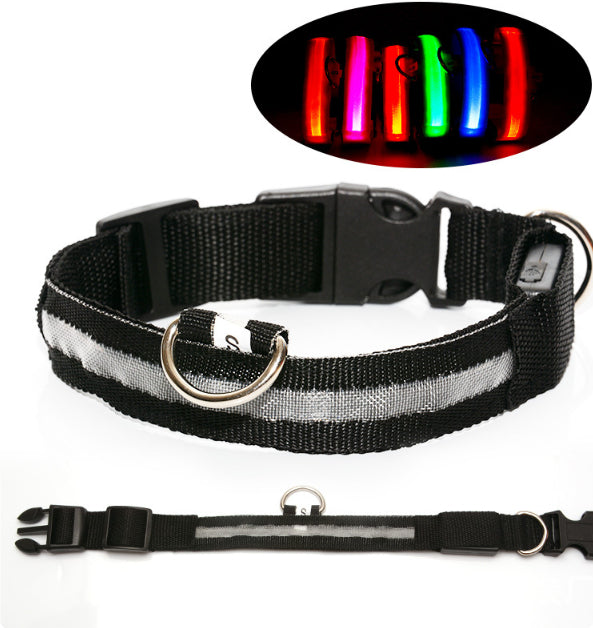 LED Safety Collar That Keeps Your Pup Visible